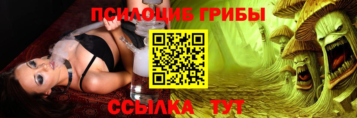 Галлюциногенные грибы Psilocybe Ливны